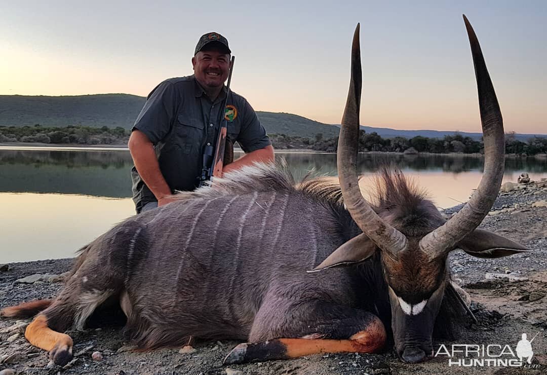 Nyala Hunting South Africa