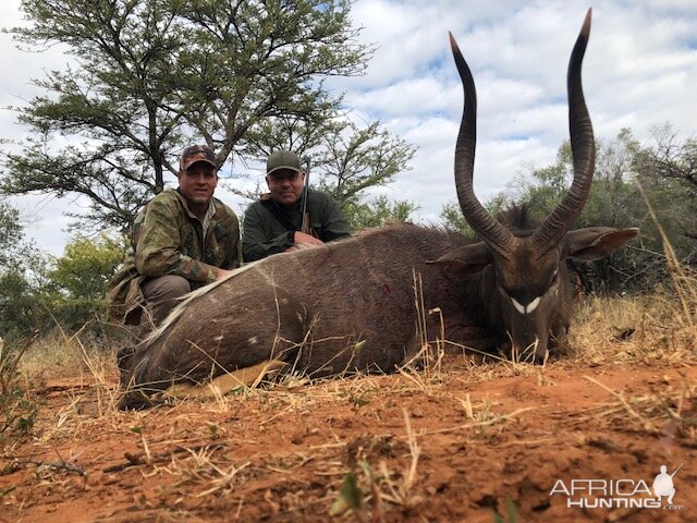 Nyala Hunting South Africa