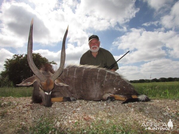 Nyala Hunting South Africa