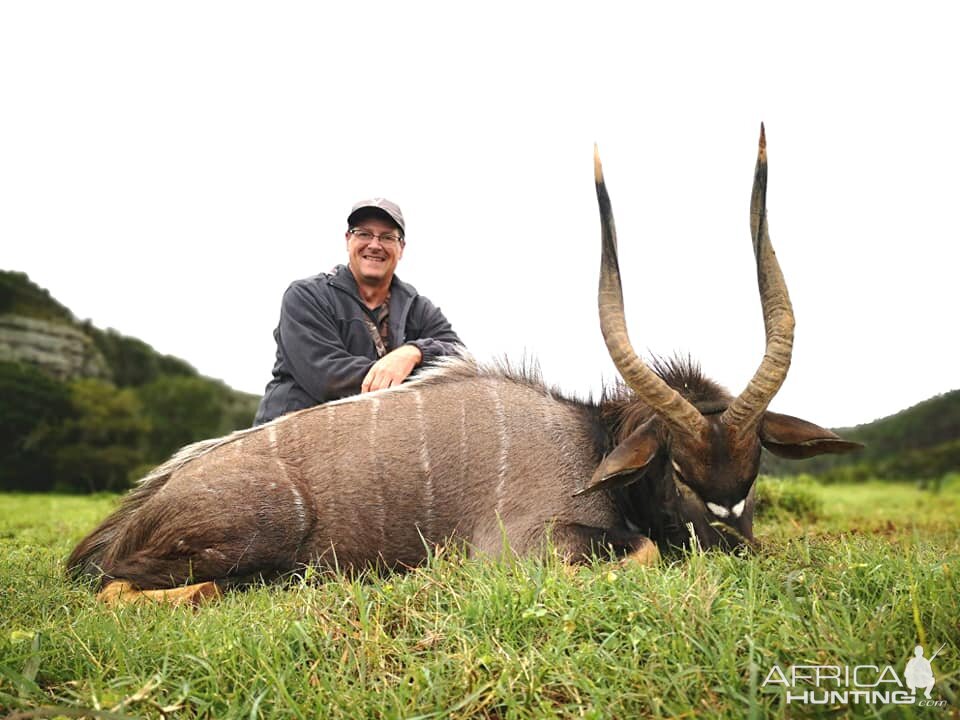 Nyala Hunting South Africa