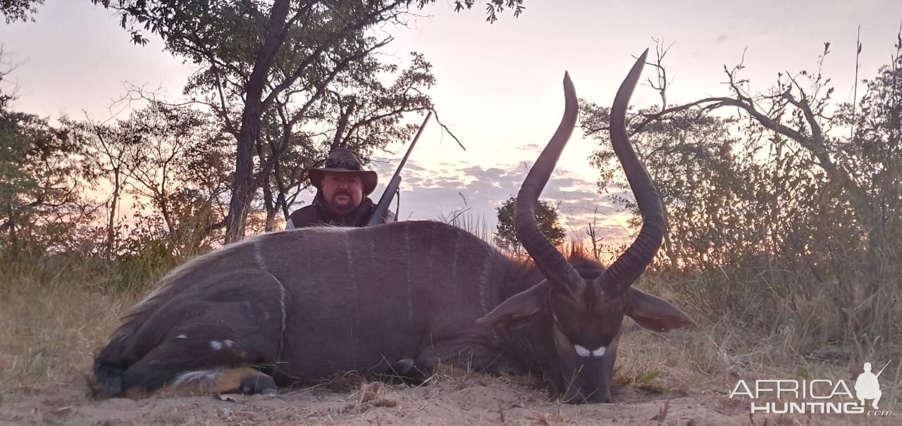 Nyala Hunting South Africa