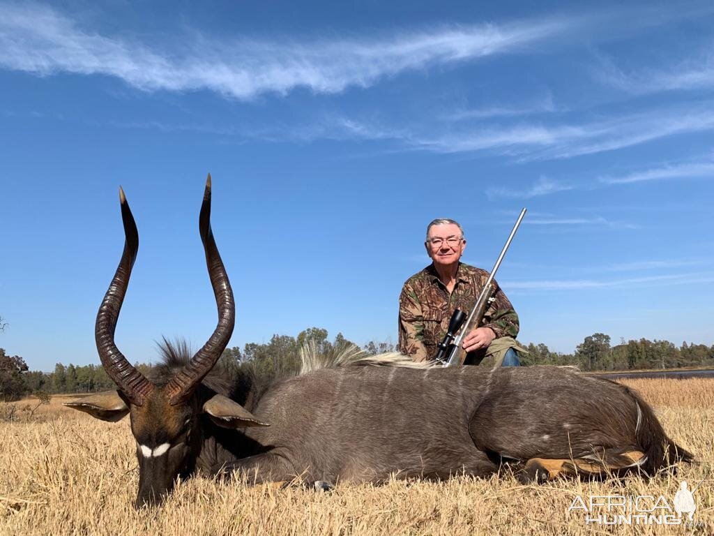 Nyala Hunting South Africa