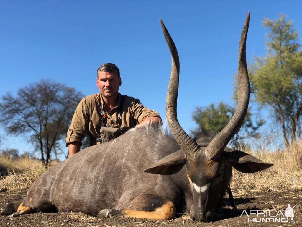 Nyala Hunting South Africa