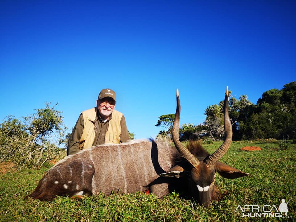 Nyala Hunting South Africa