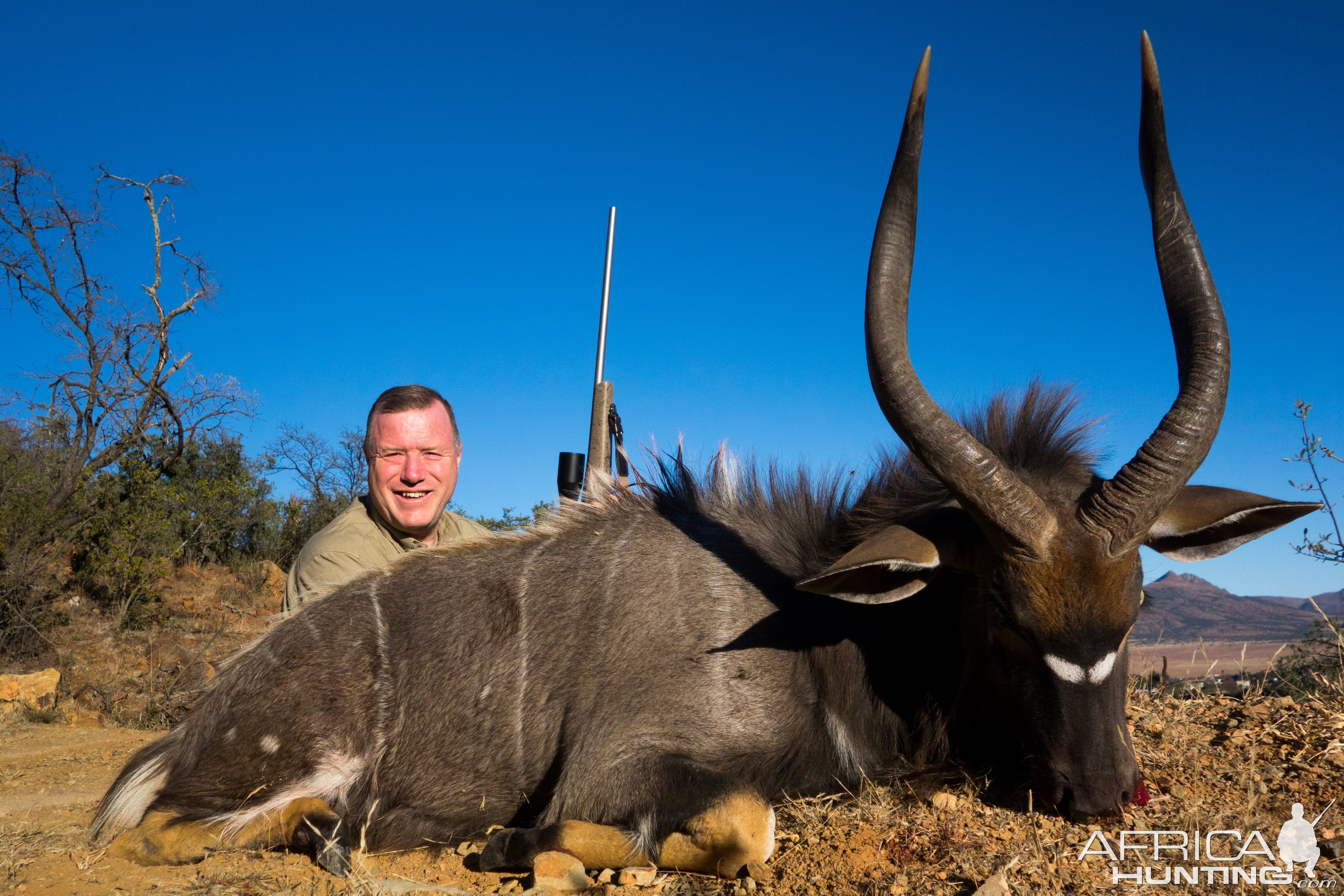 Nyala Hunting South Africa