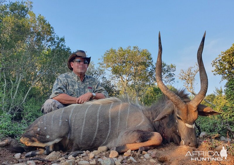 Nyala Hunting South Africa