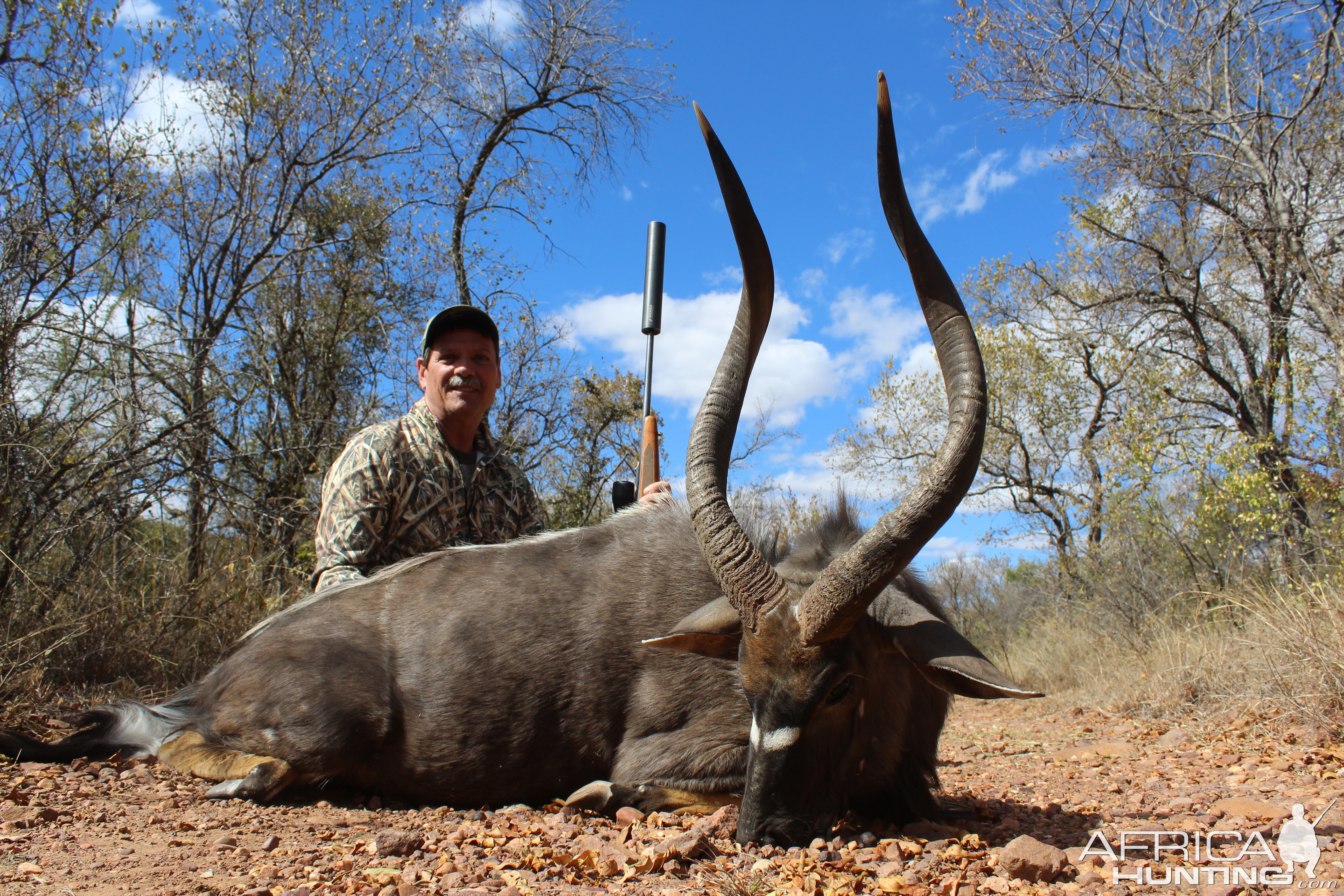 Nyala Hunting Waterberg Mountains Limpopo province of South Africa