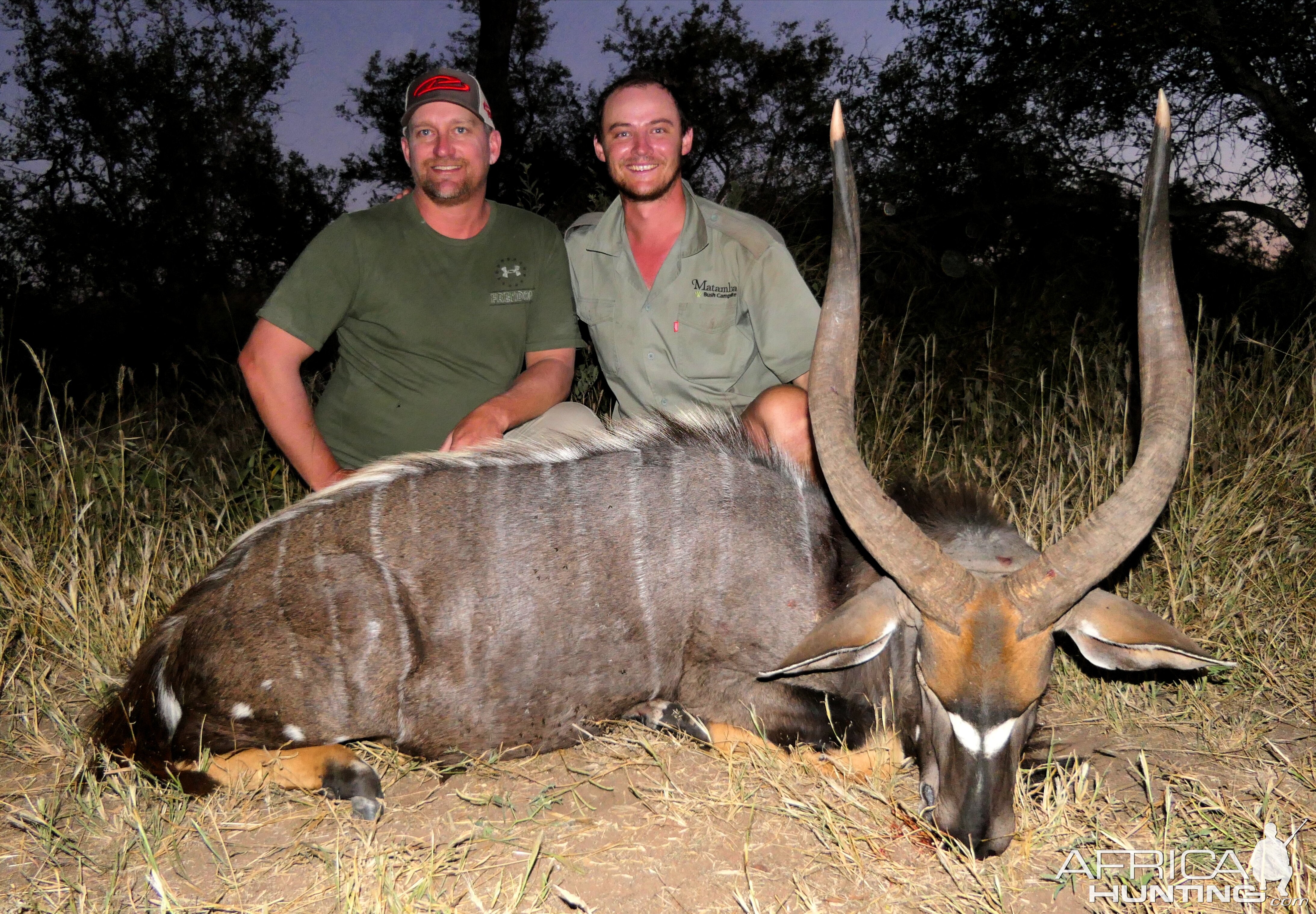 Nyala Hunting