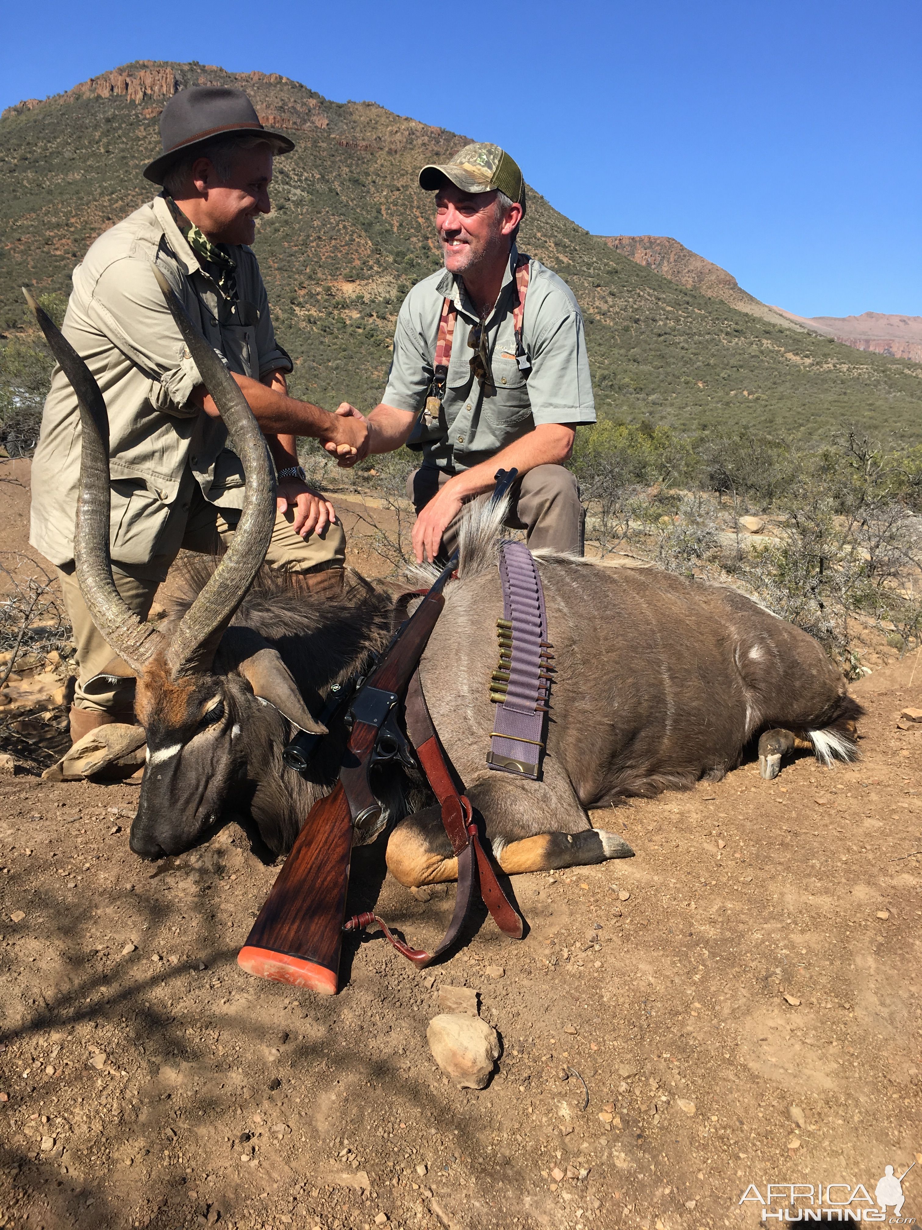 Nyala Hunting