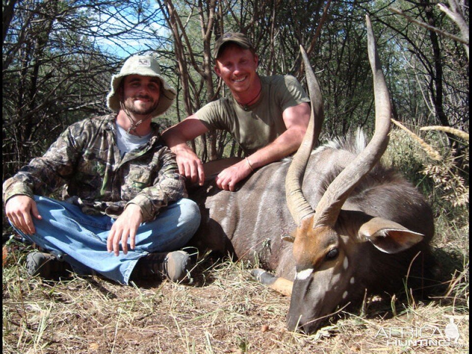 Nyala Hunting