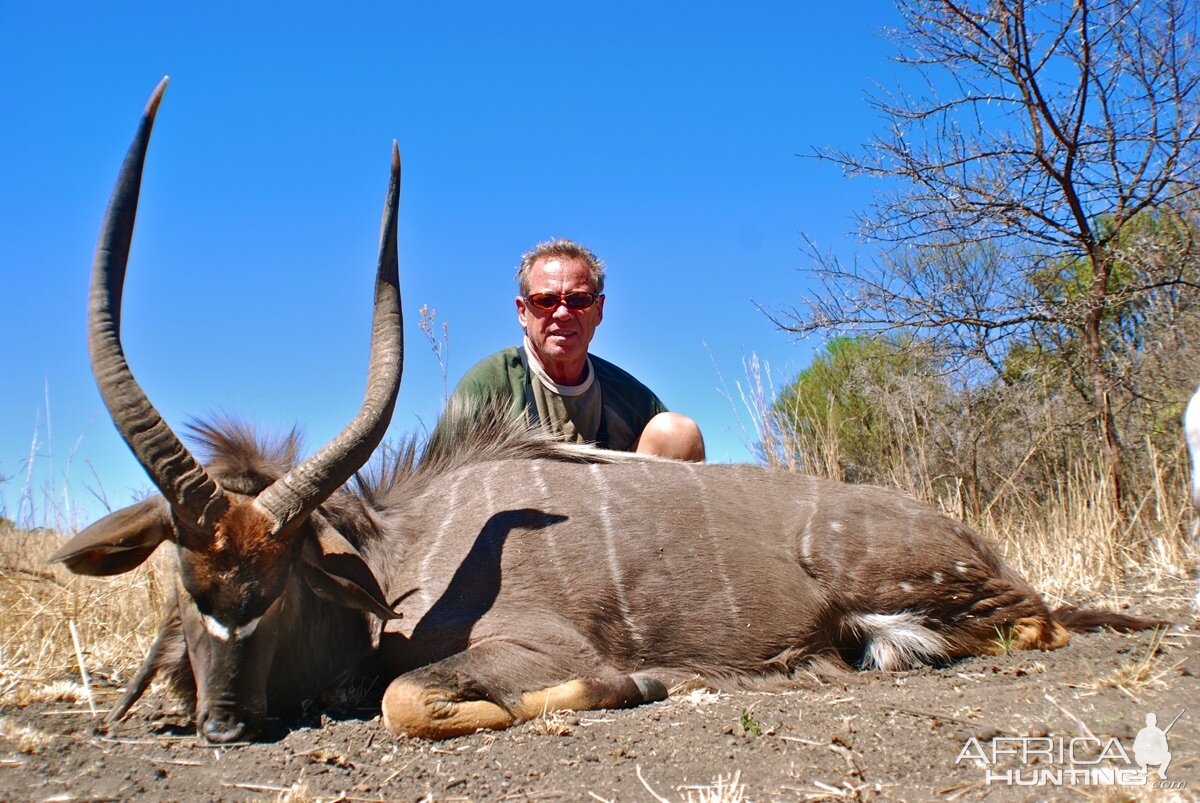 Nyala Hunting