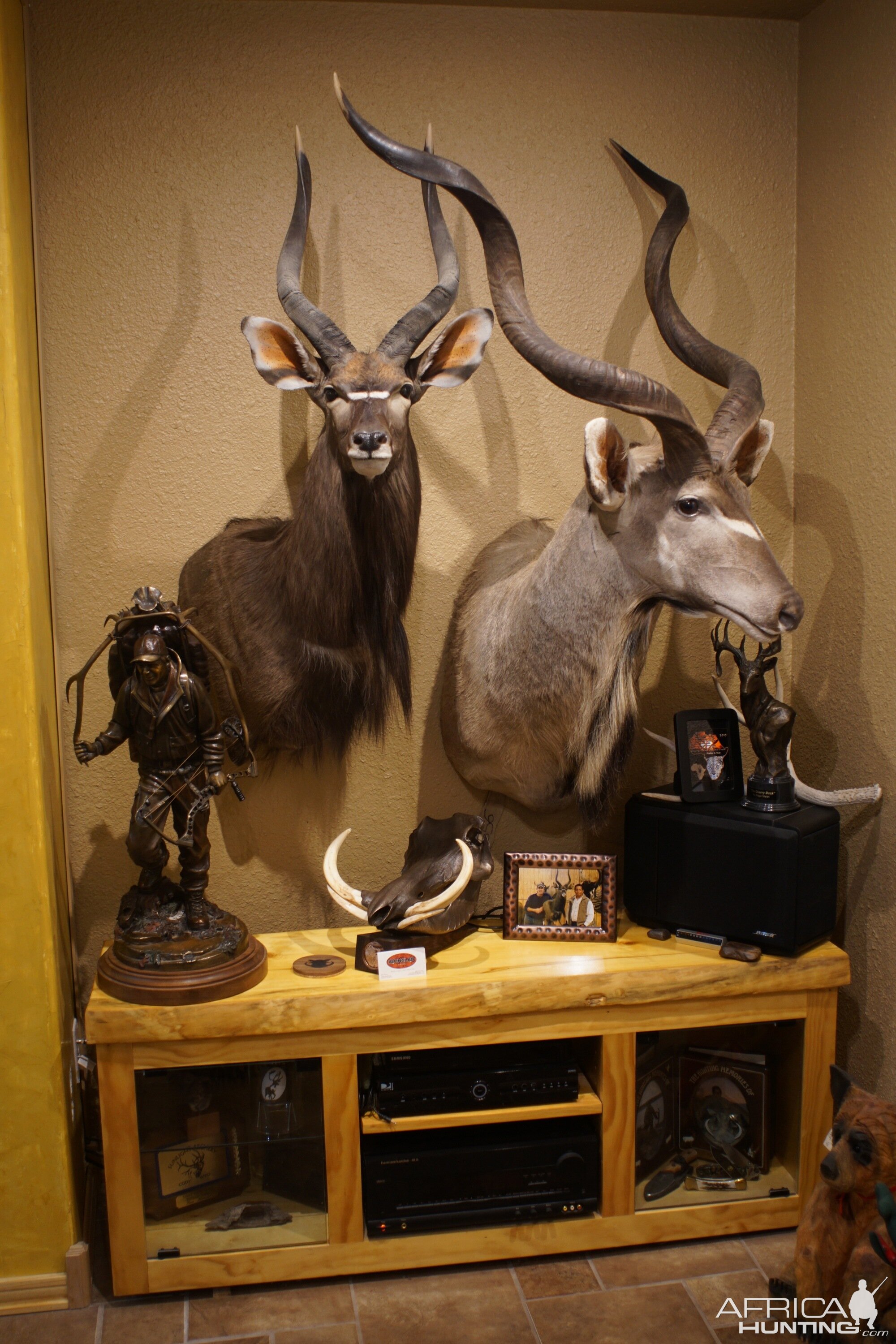 Nyala & Kudu Shoulder Mount Trophies Taxidermy