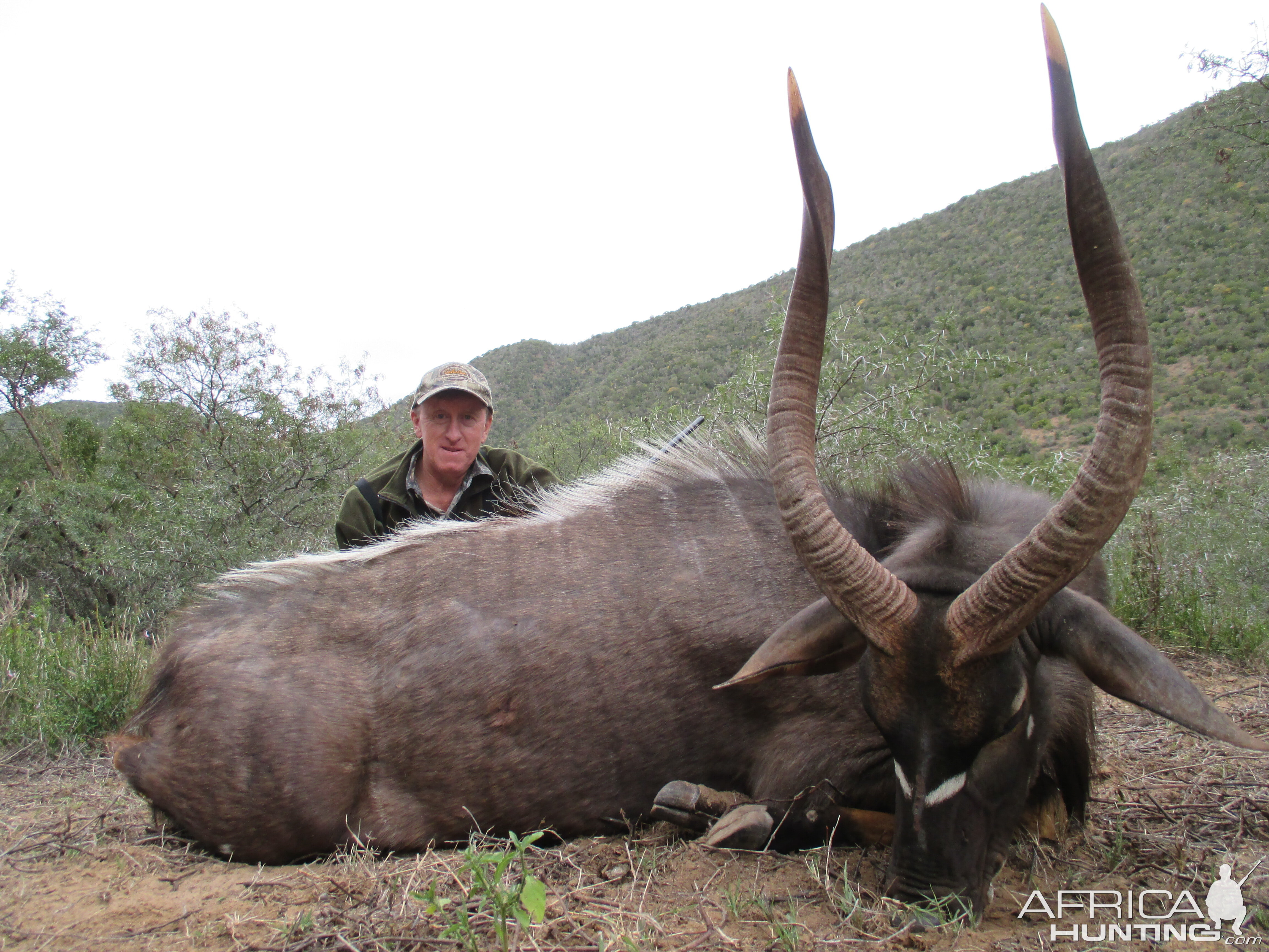 Nyala South Africa