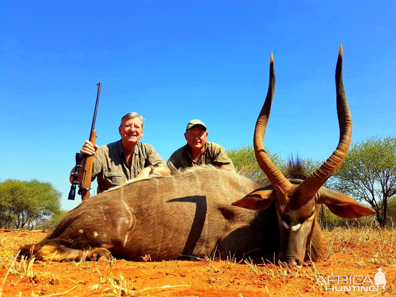 Nyala South Africa