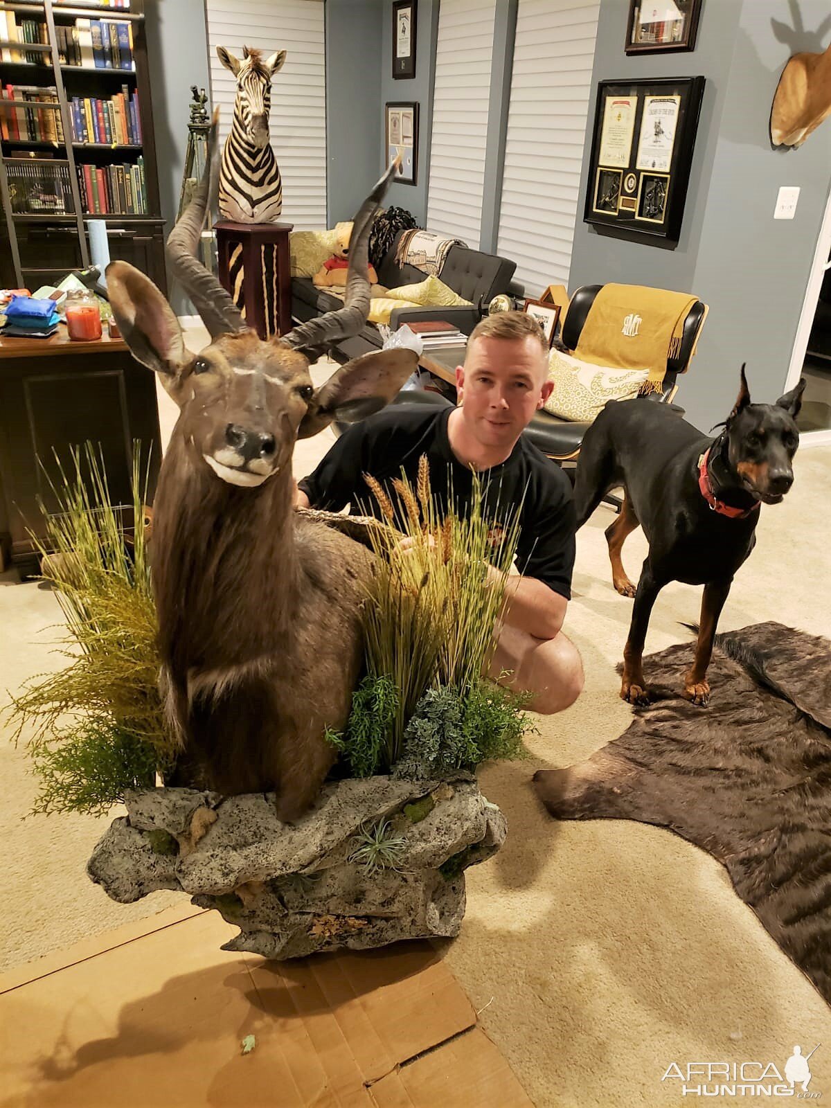 Nyala Wall Pedestal with Habitat Taxidermy