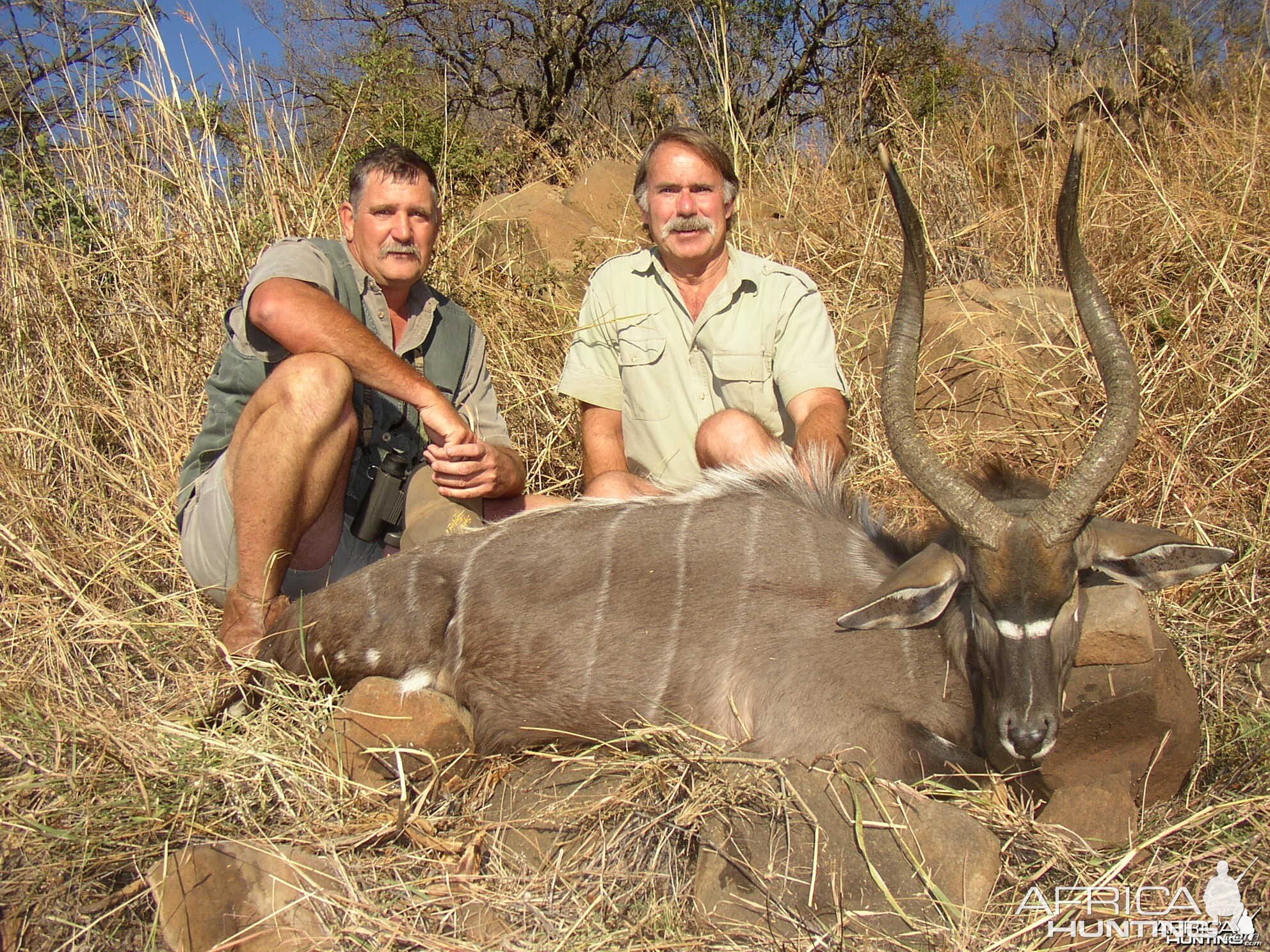 Nyala with Koos