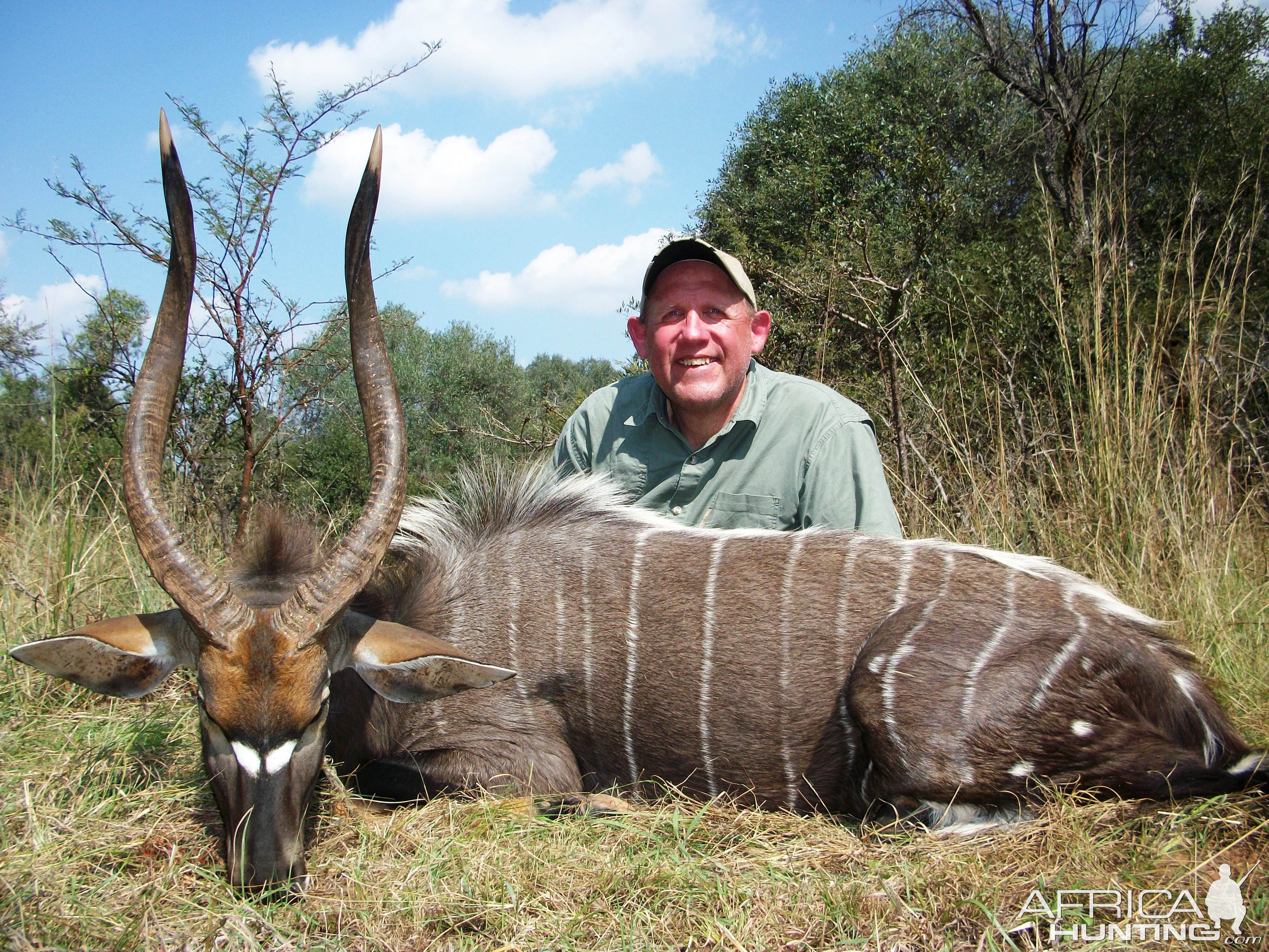 Nyala