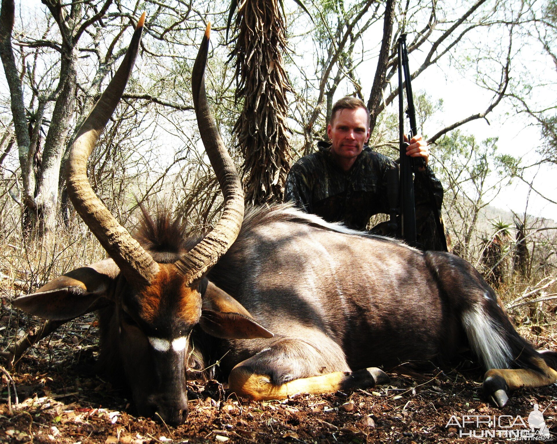 Nyala