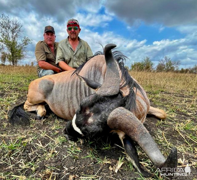 Nyasa Wildebeest Tanzania Selous