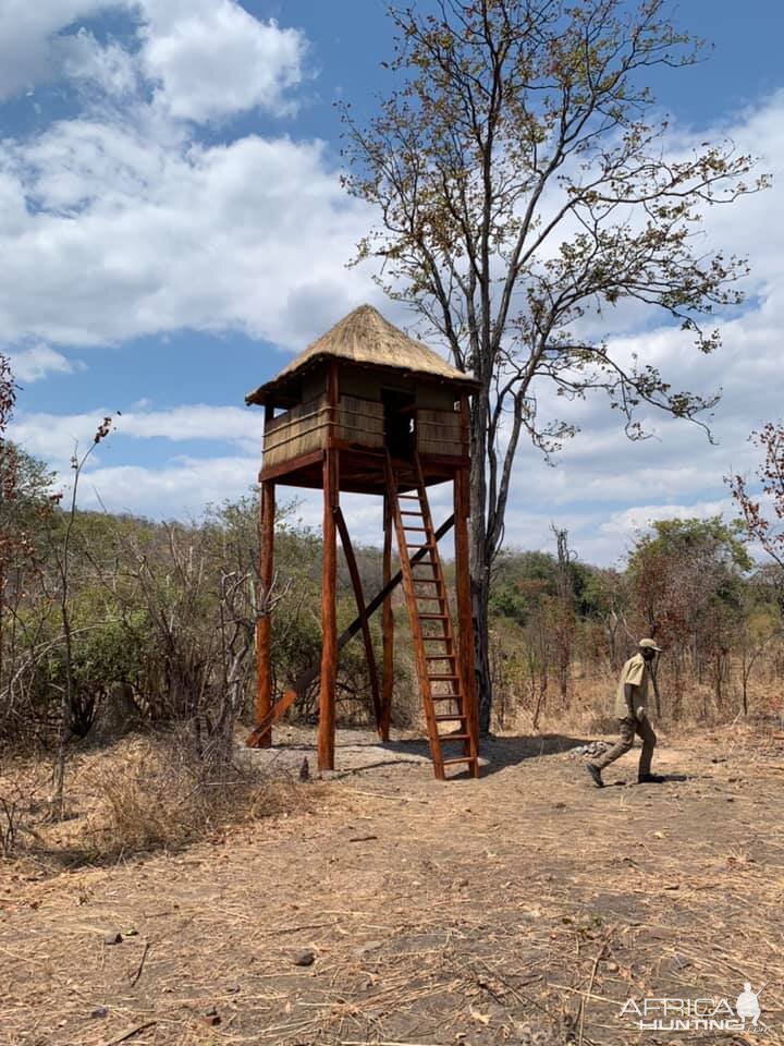 Observation towers for game management and trophy quality