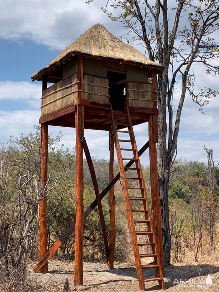 Observation towers for game management and trophy quality