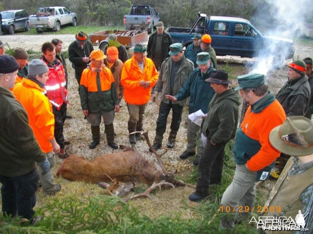 OCT Bavarian cull hunt