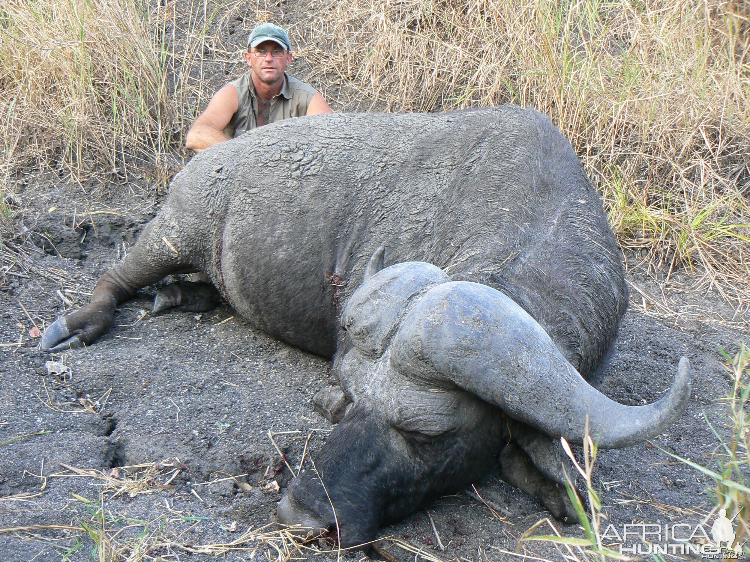 Old Buffalo shot in Tanzania