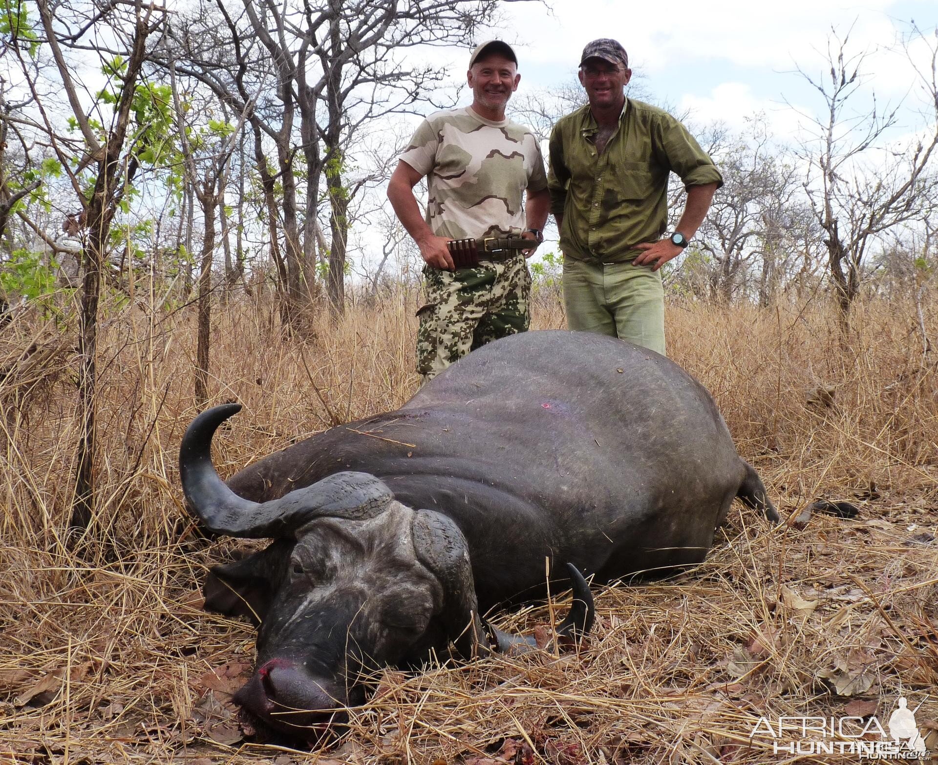 Old bull hunted in Tanzania