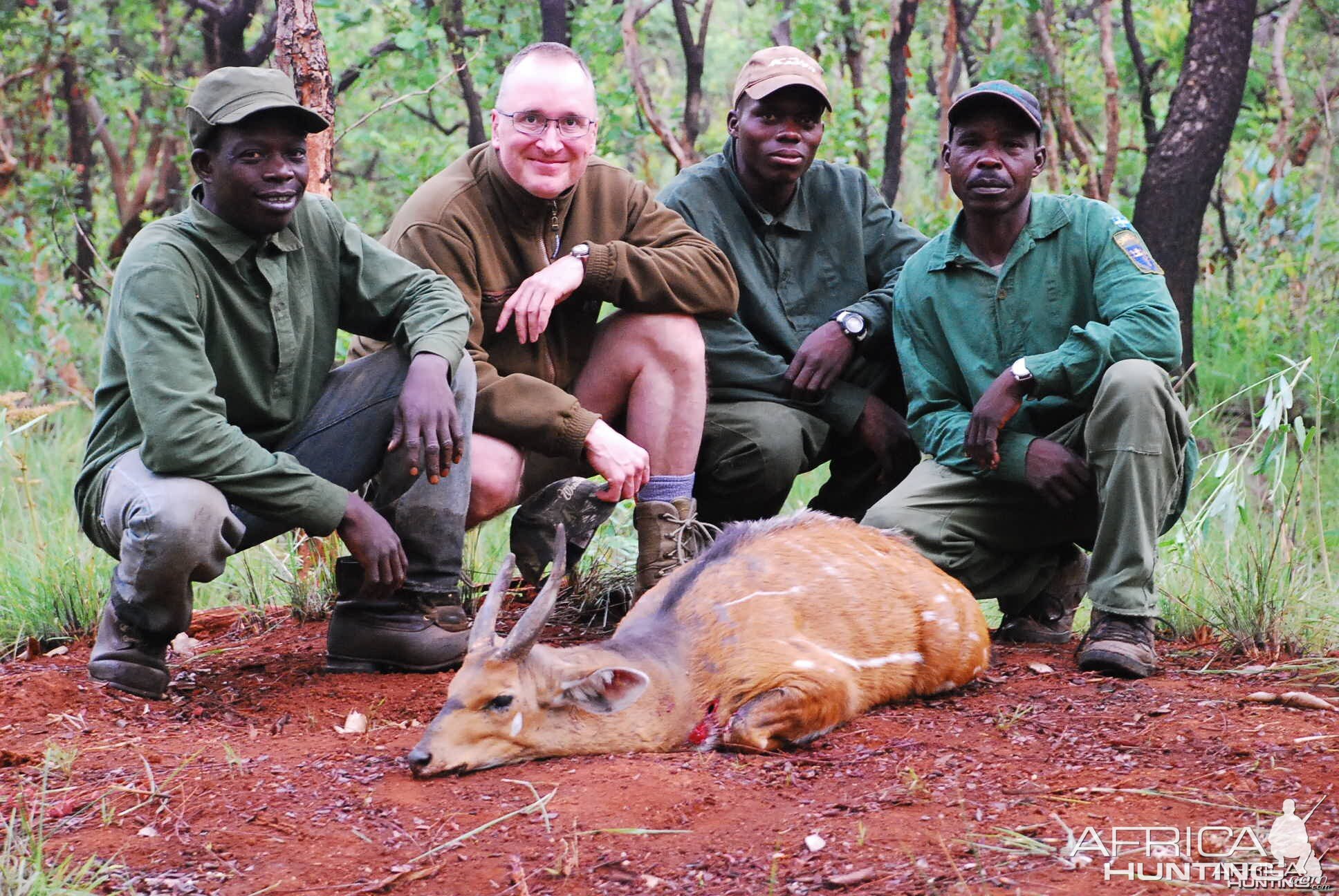 Old Bushbuck hunted in CAR with Central African Wildlife Adventures