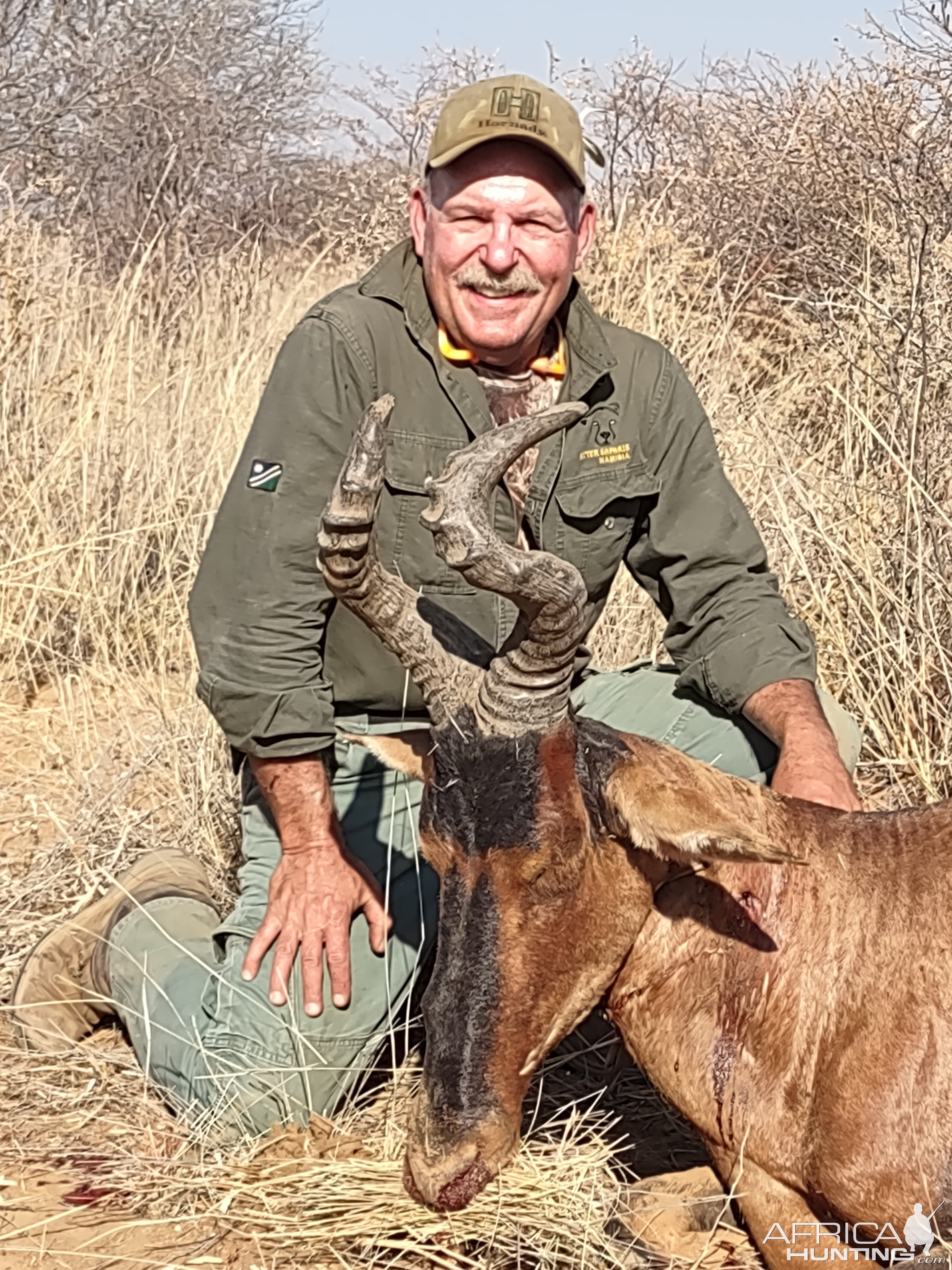 Old Hartebeest Hunt Namibia