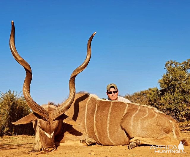 Old Kudu Bull North West Province South Africa