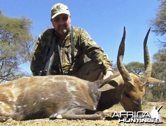 OLD LIMPOPO BUSHBUCK