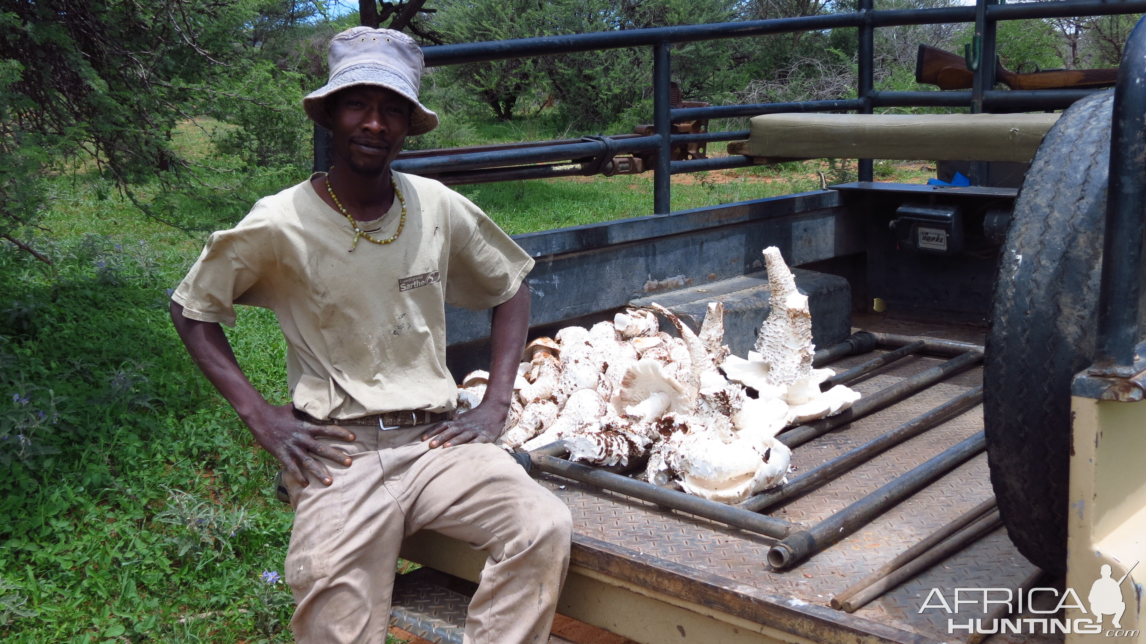 Omajowa termite hill mushrooms Namibia