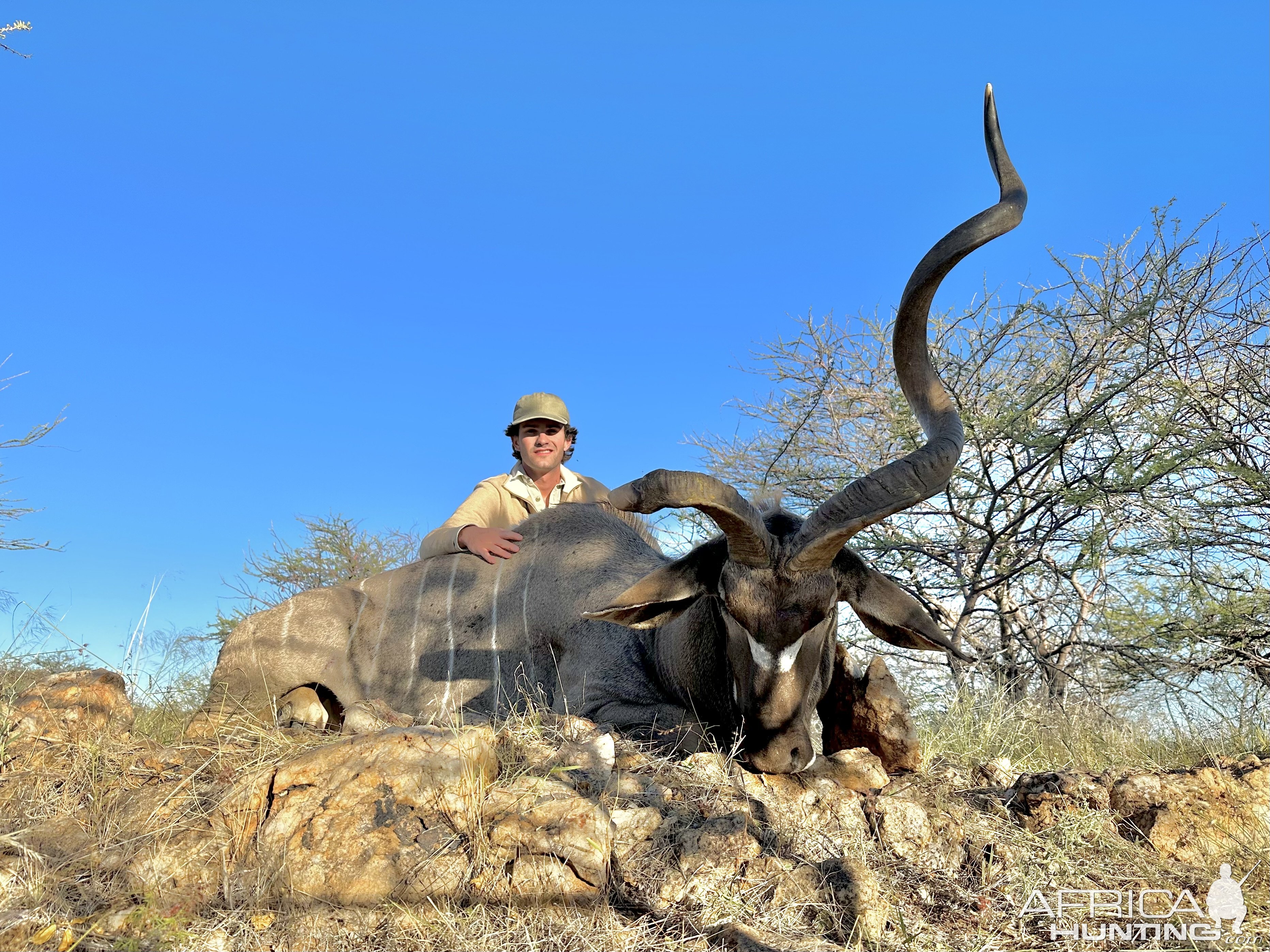 One Horned Kudu Bull Hunt Namibia