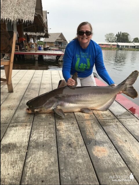 One of Tammy's mekong catfish