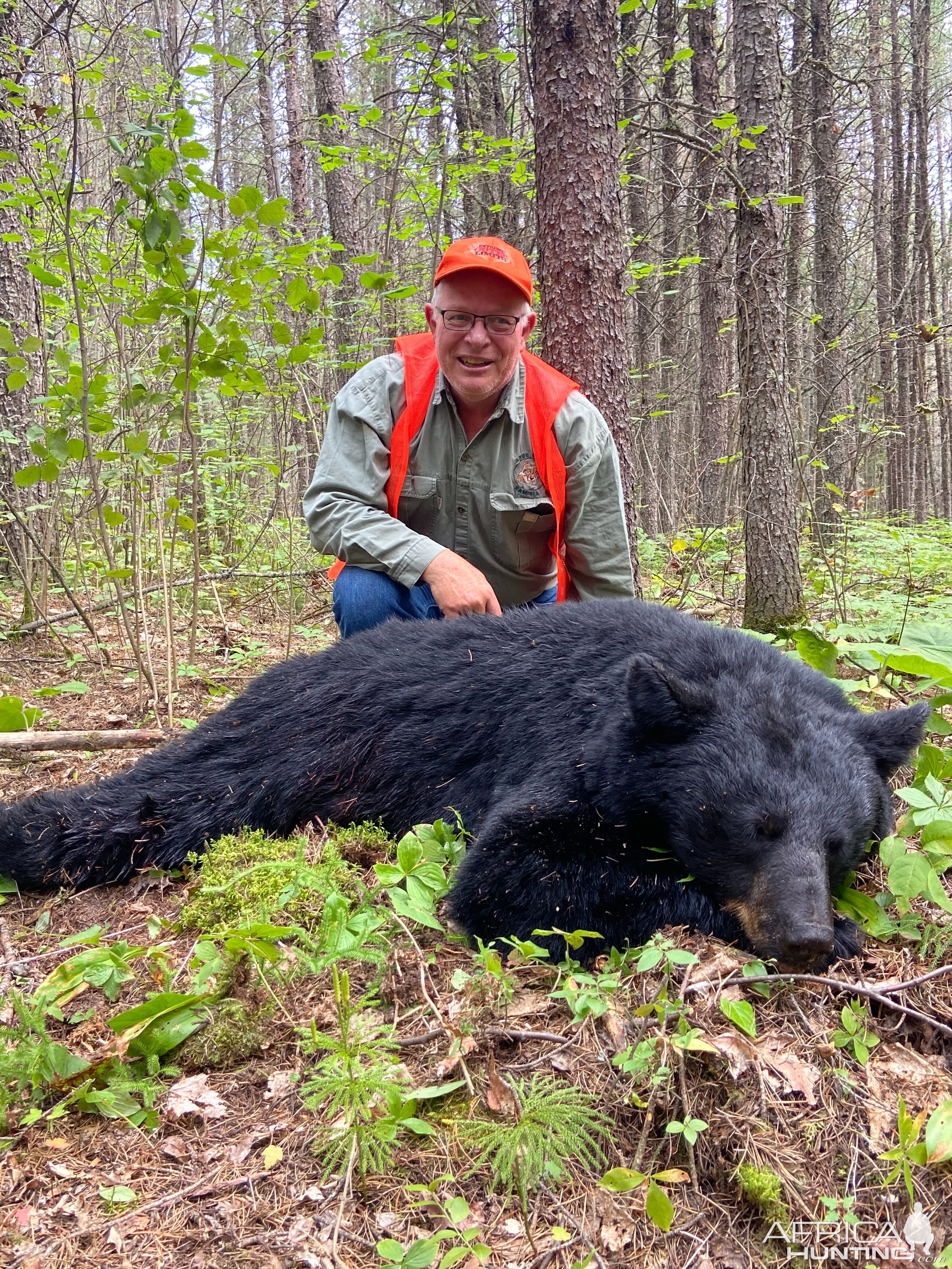 Ontario Black Bear Hunt