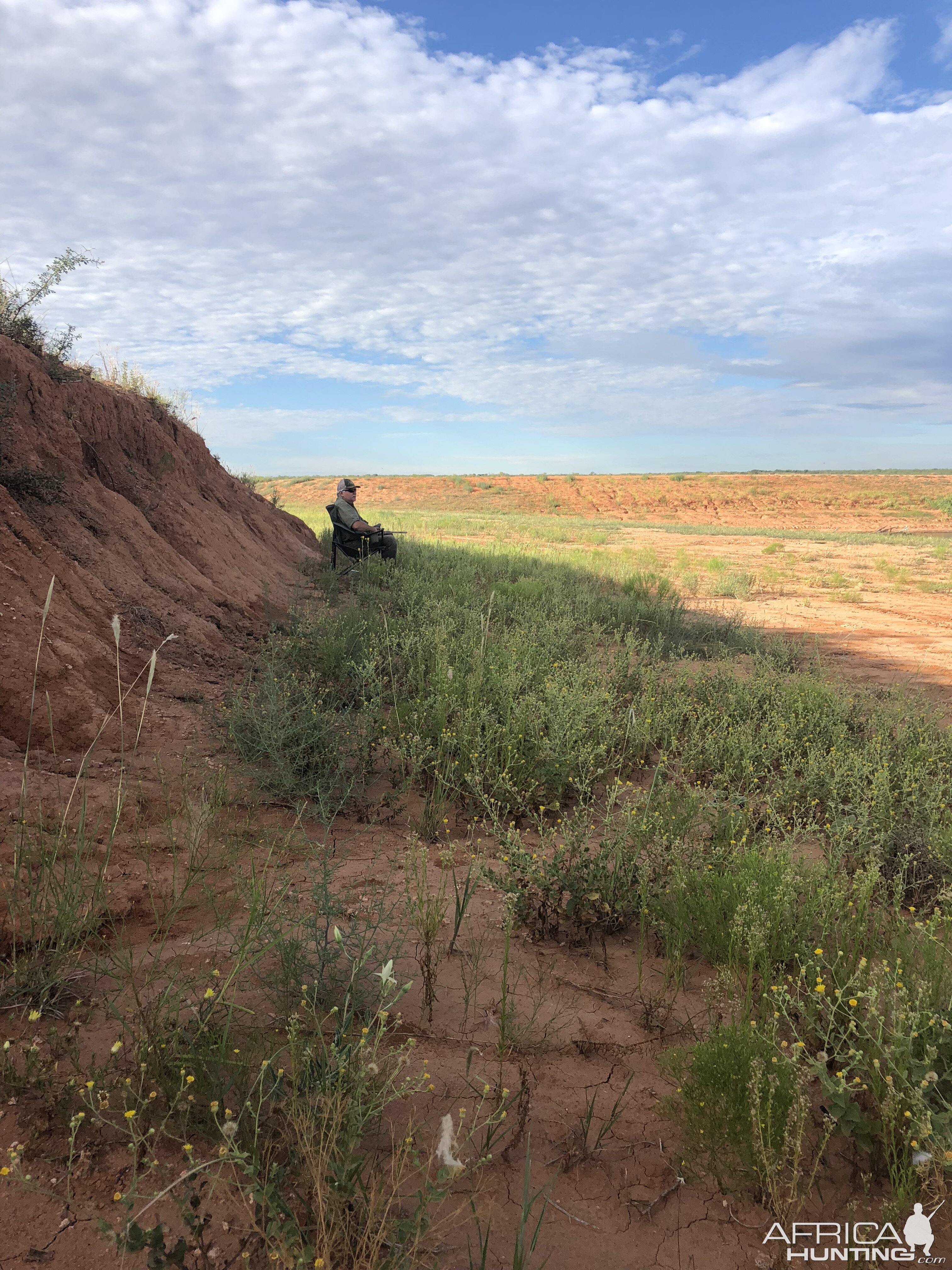 Opening Weekend Dove Hunt