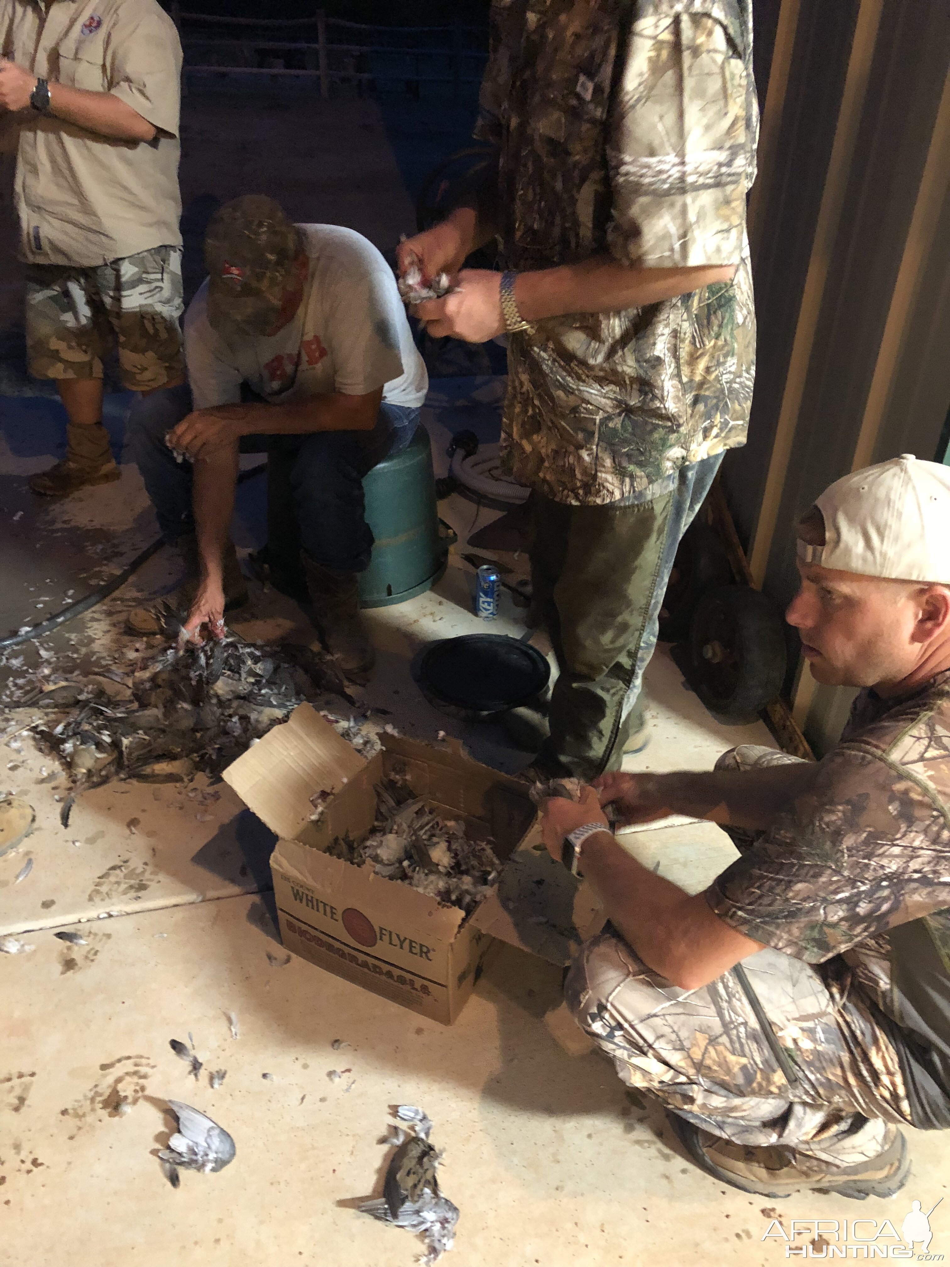 Opening Weekend Dove Hunt