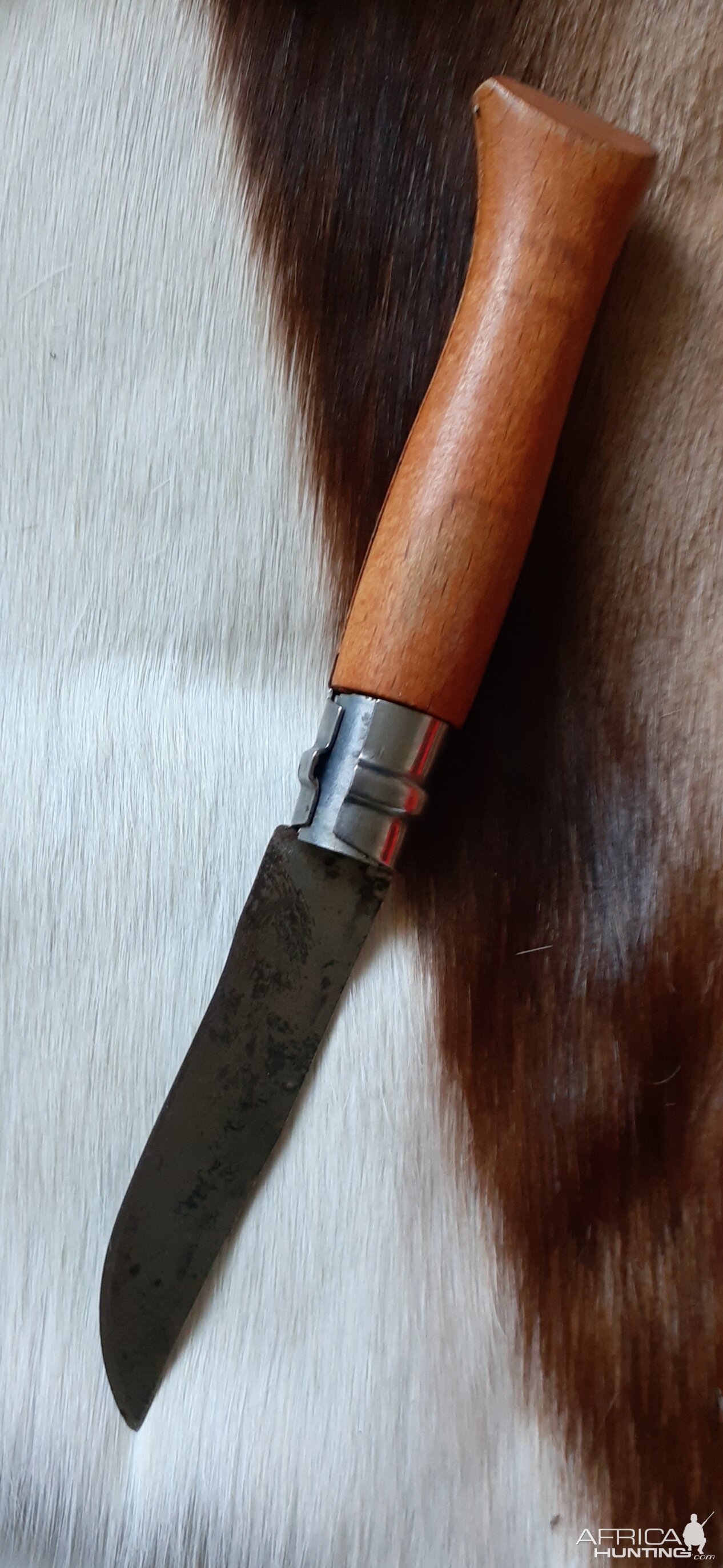 Opinel Knife