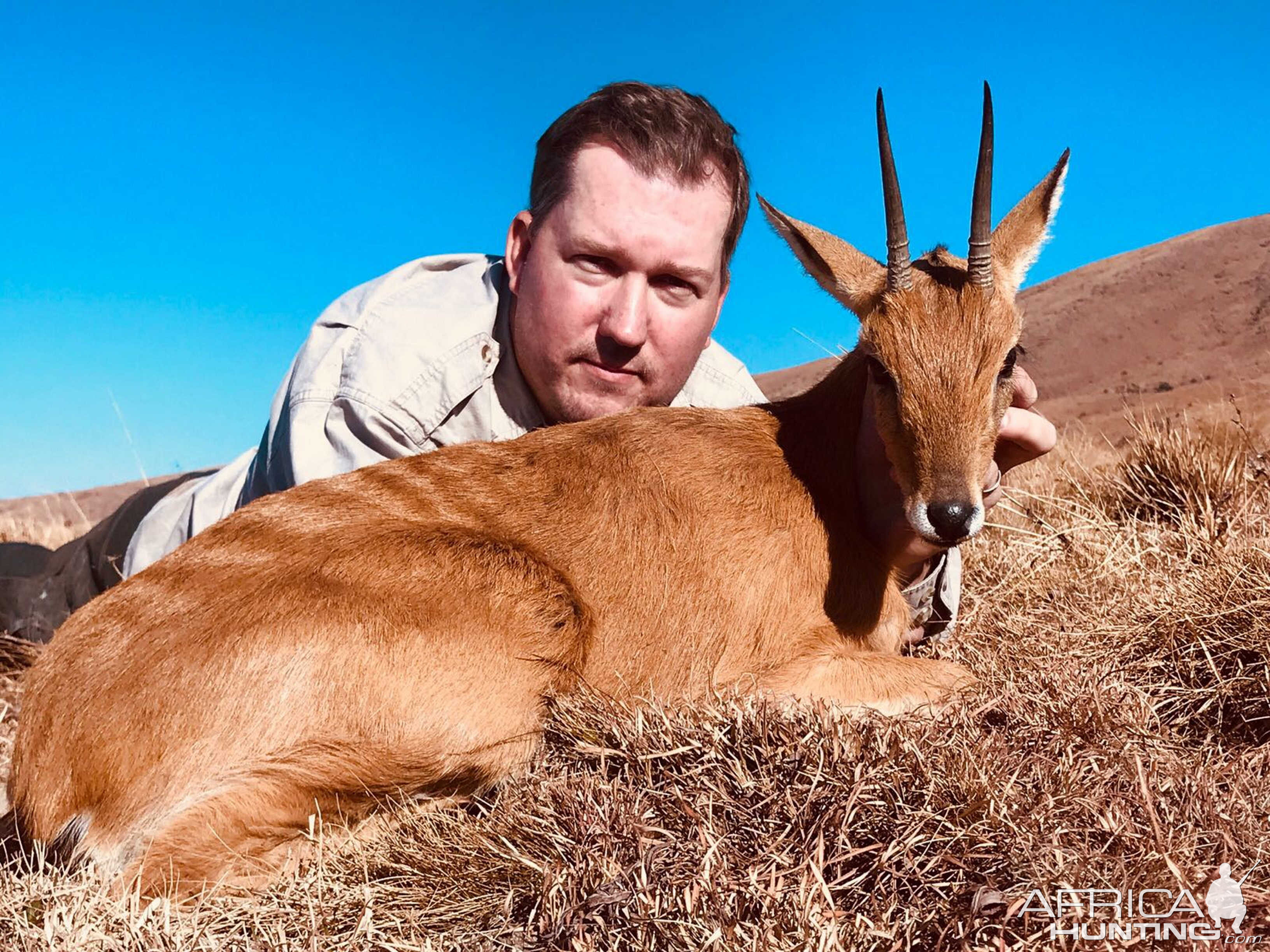 Oribi Hunt in South Africa