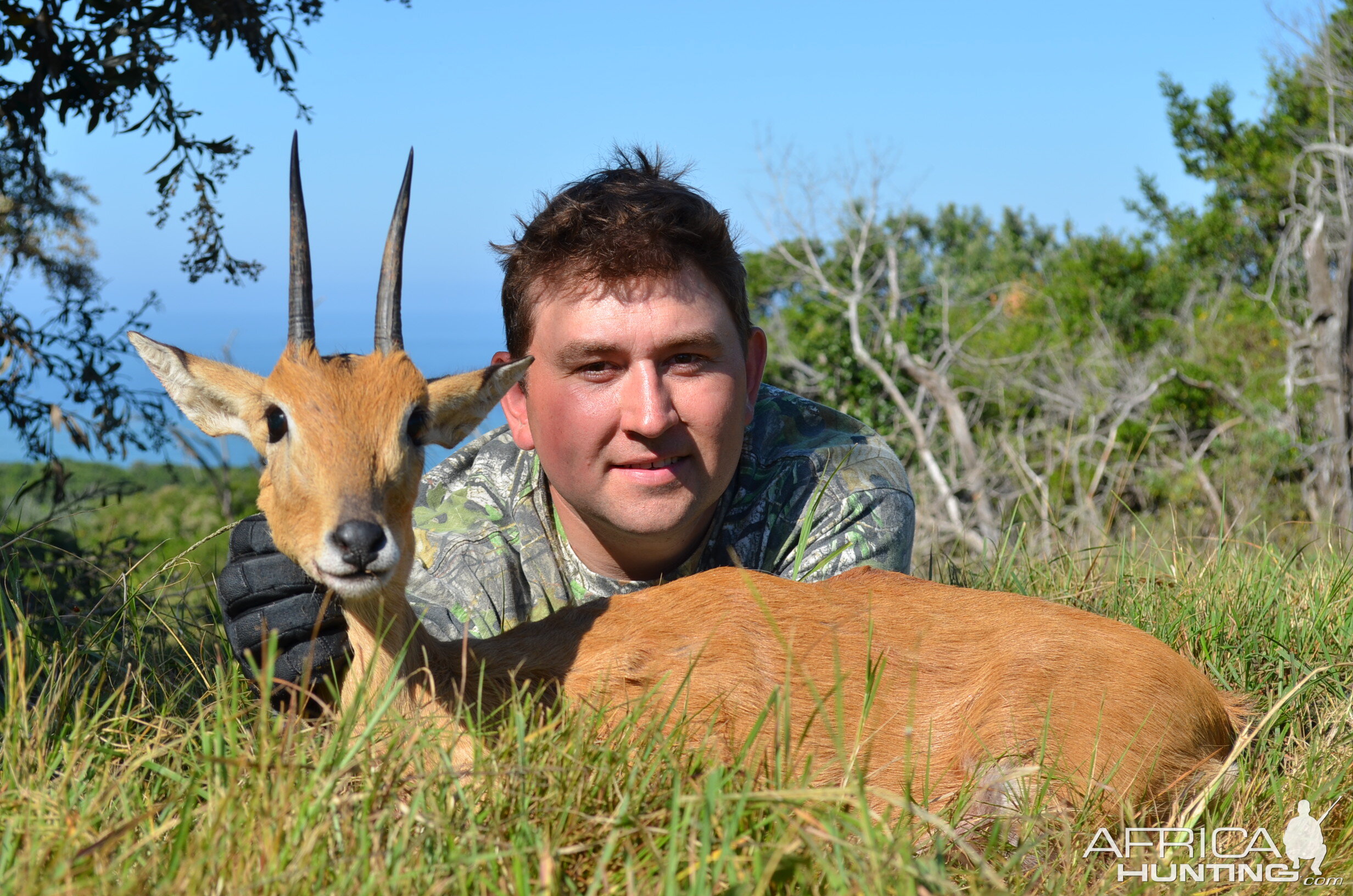 Oribi Hunting South Africa