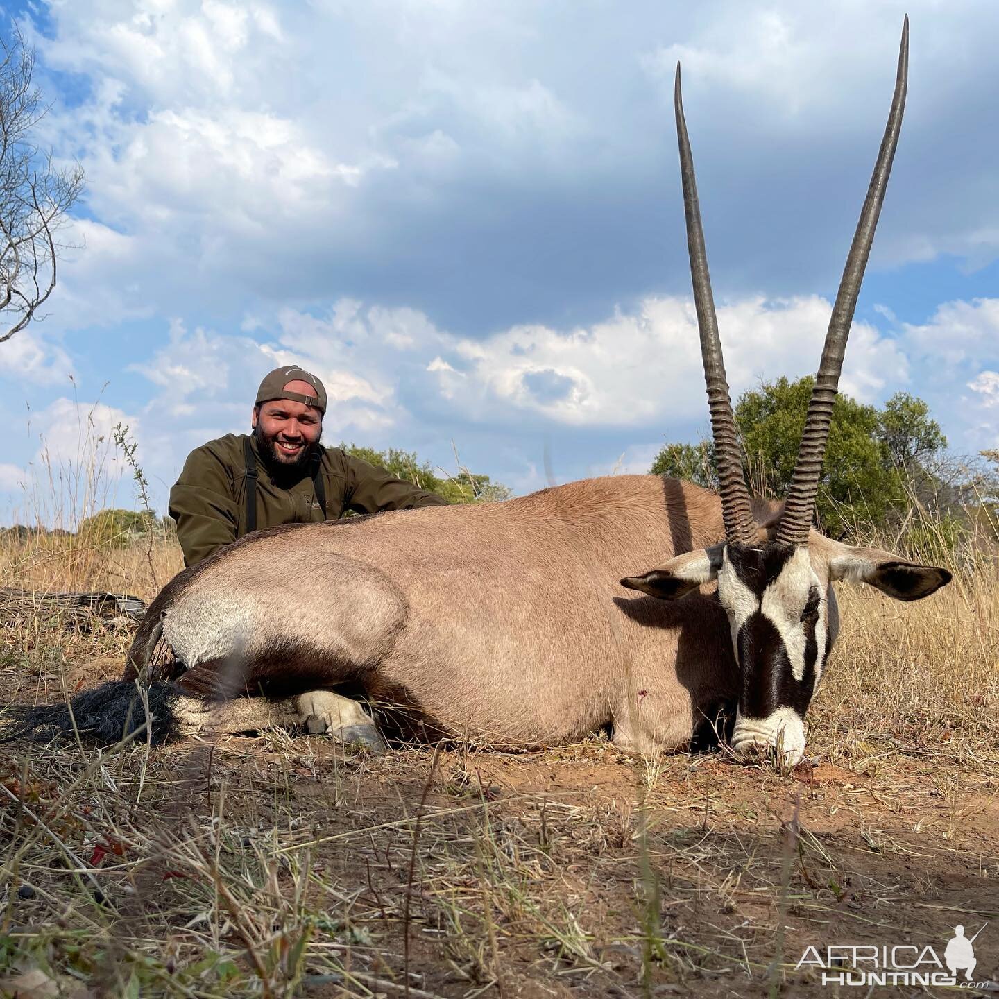 Oryx Hunt Limpopo South Africa