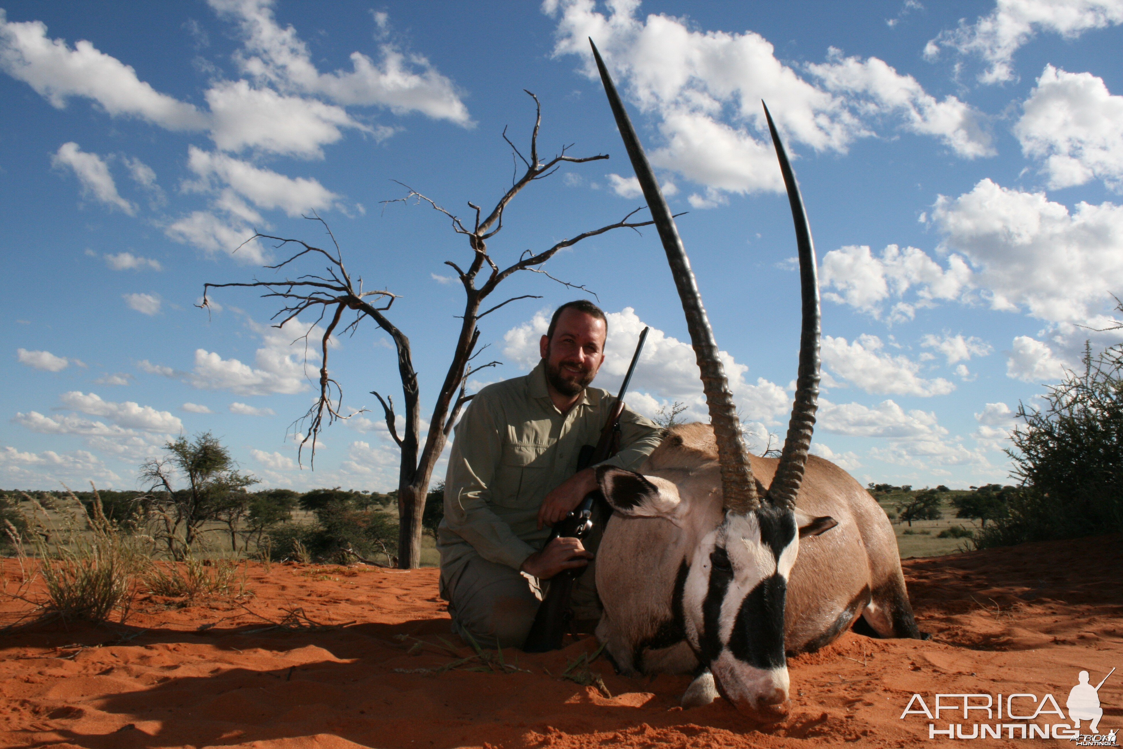 Oryx, Kalahari