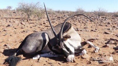 Oryx Namibia