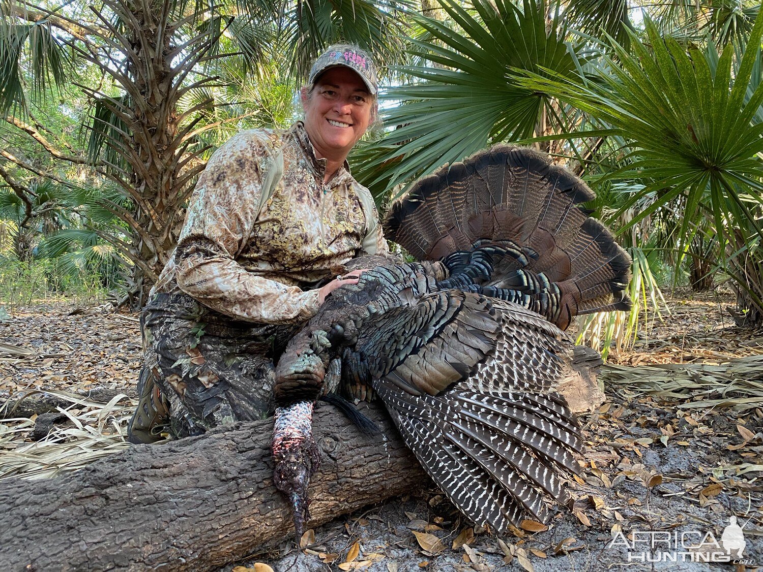 Osceola Turkey Hunt Florida USA