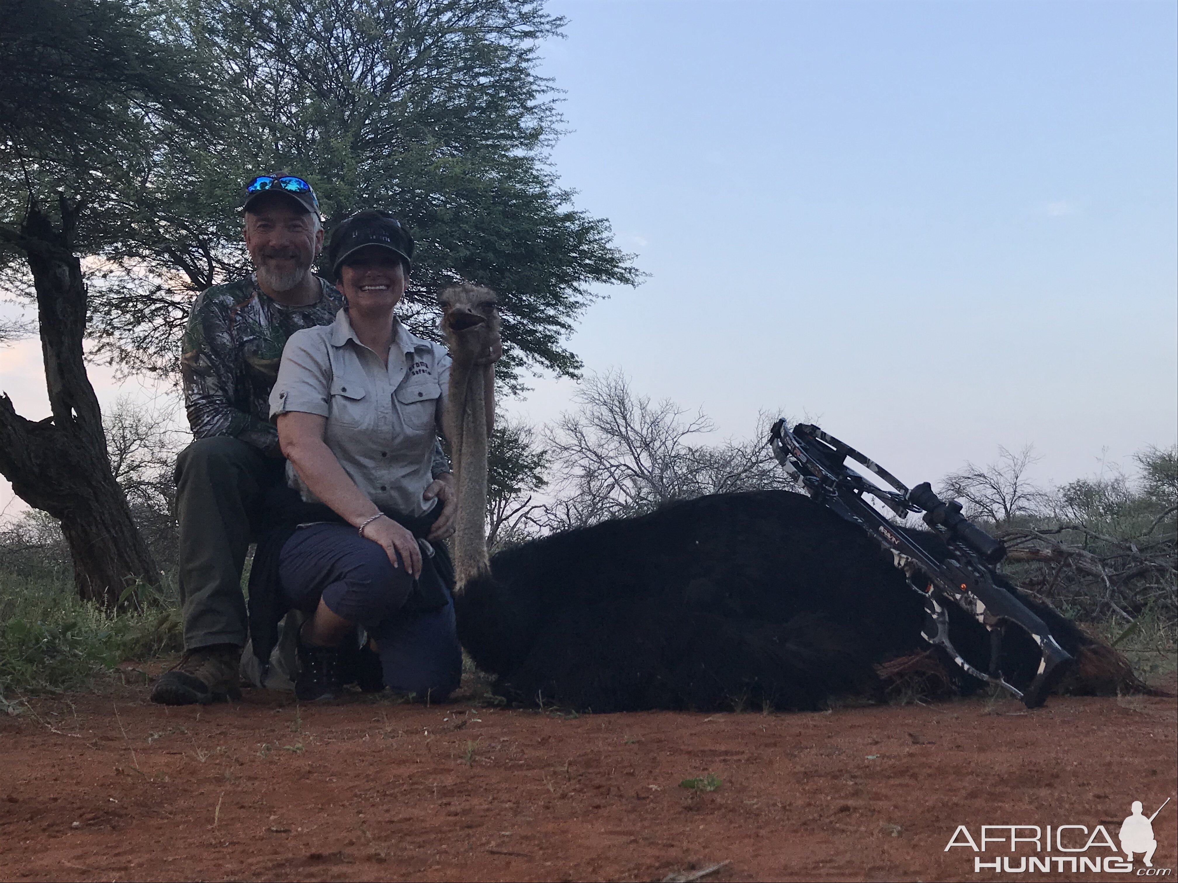 Ostrich Crossbow Hunting in South Africa