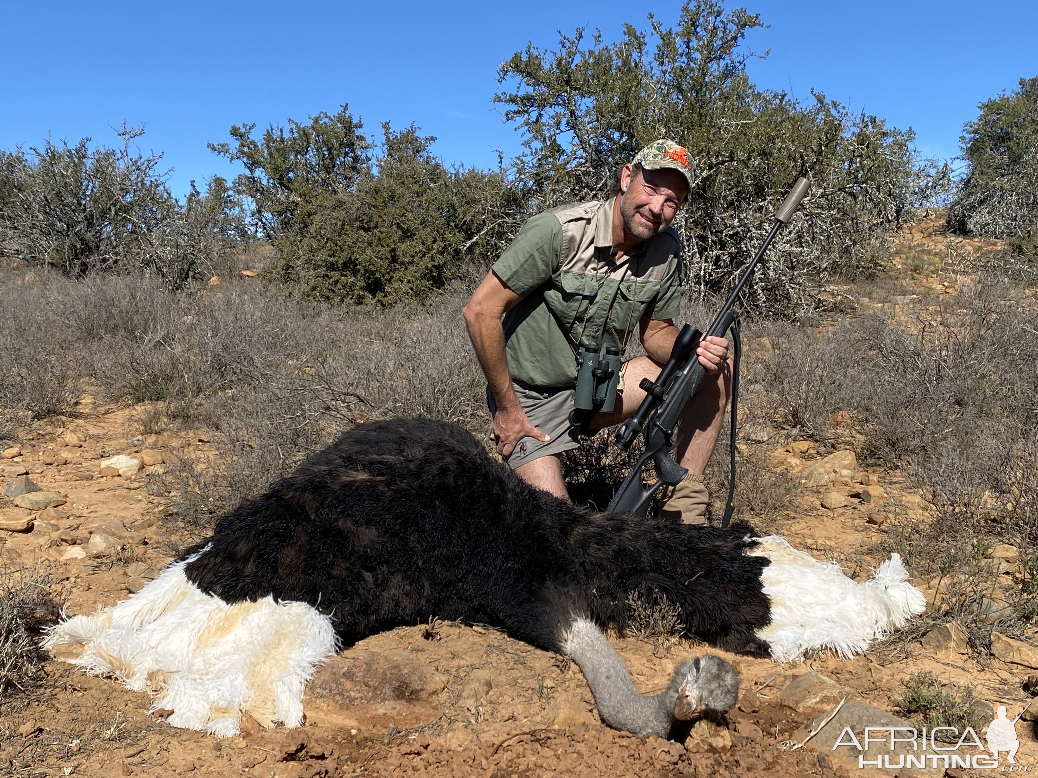 Ostrich Hunt Eastern Cape South Africa