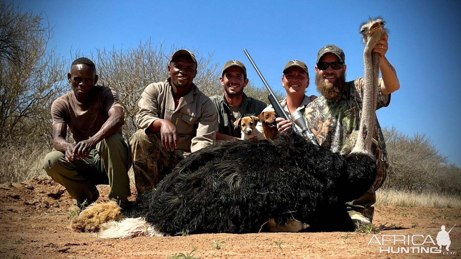 Ostrich Hunt South Africa