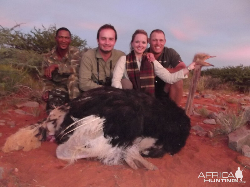 Ostrich hunt with Wintershoek Johnny Vivier Safaris