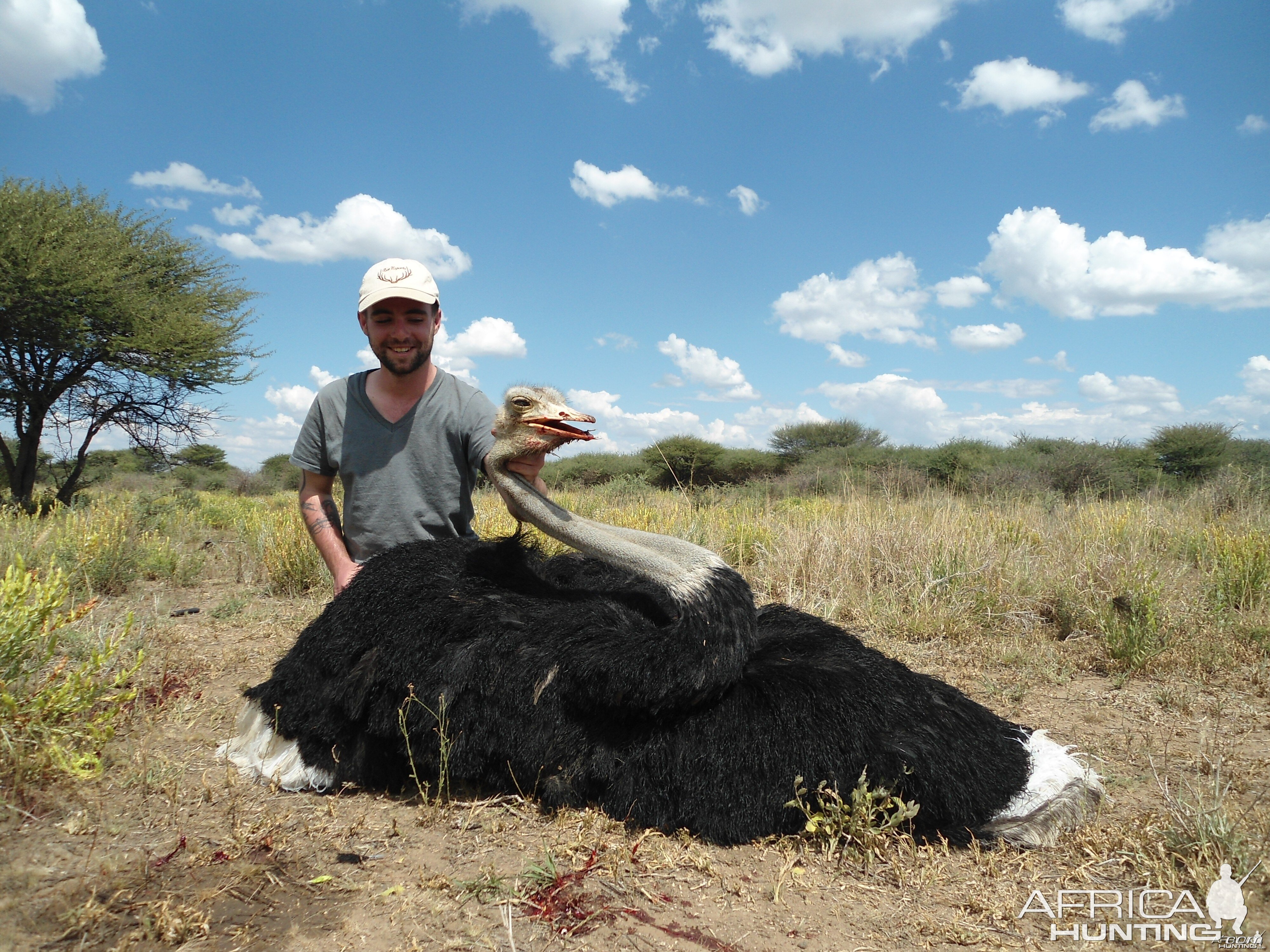 Ostrich hunted with Ozondjahe Hunting Safaris in Namibia